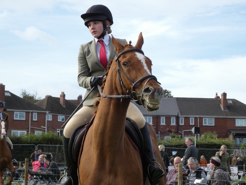 Other image for Volunteers praised as Penistone Show draws crowds